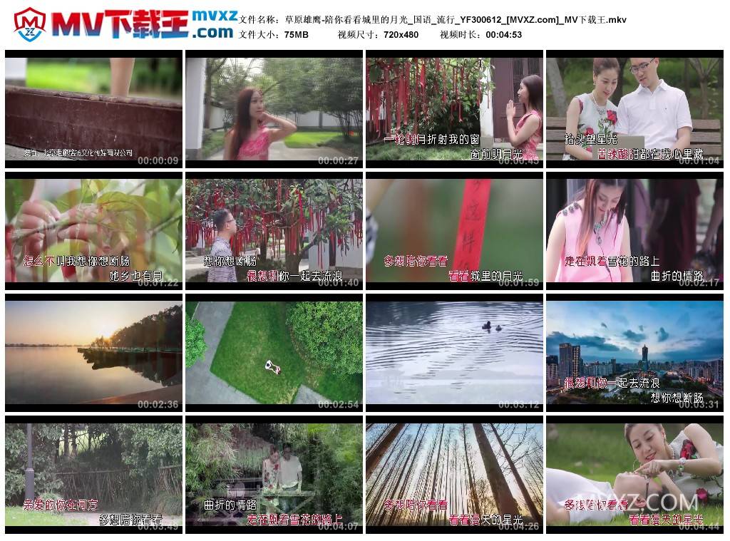 草原雄鹰-陪你看看城里的月光_国语_流行_YF300612